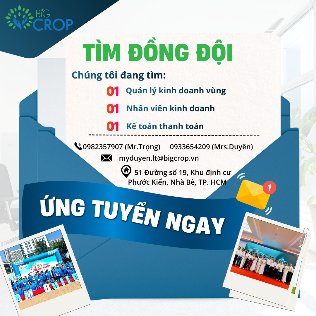 TUYỂN DỤNG NHÂN SỰ CÁC VỊ TRÍ: QUẢN LÝ KINH DOANH VÙNG, NHÂN VIÊN KINH DOANH, KẾ TOÁN THANH TOÁN
